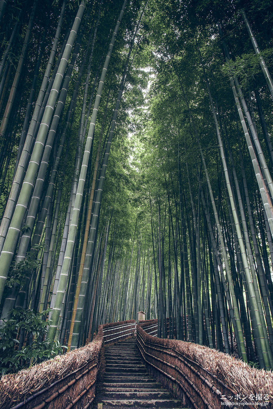 化野念仏寺_0227