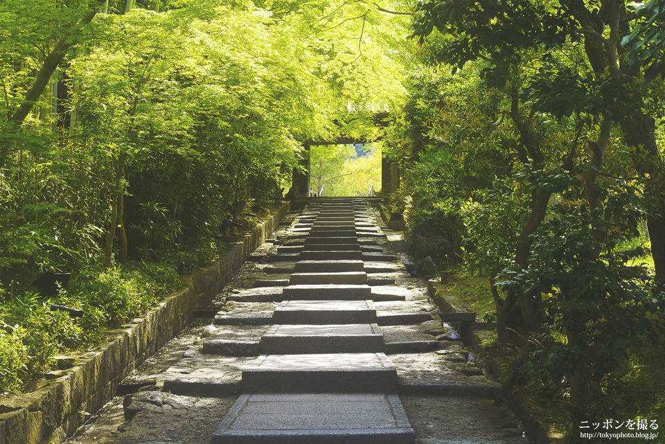 京都府_京都市東山区_高台寺_0249