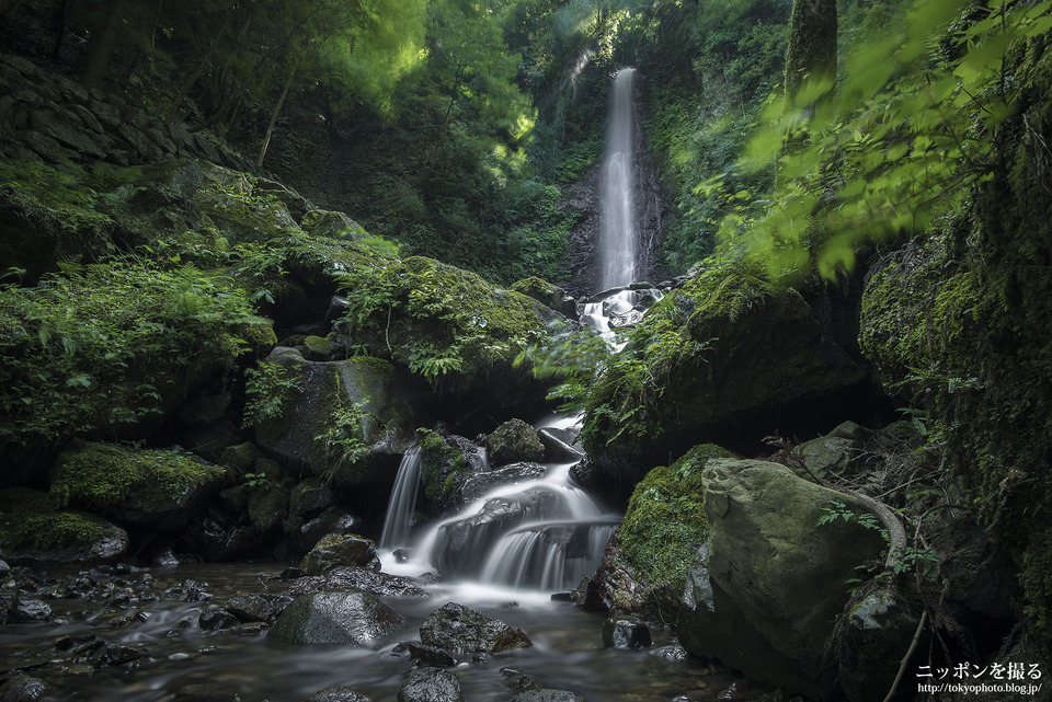 岐阜県_養老町_養老の滝_0160