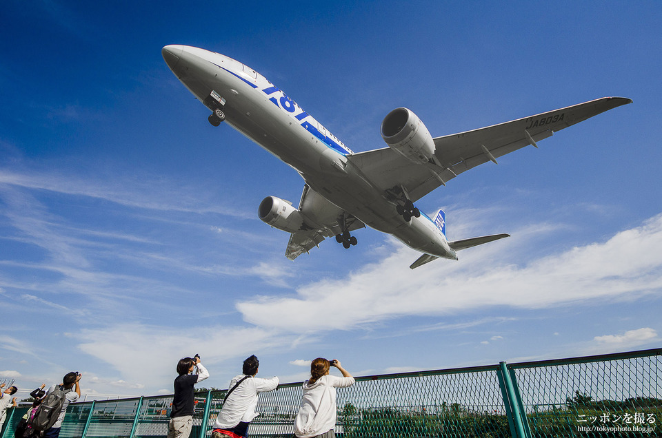 大阪の写真撮影スポット_千里川土手_伊丹空港