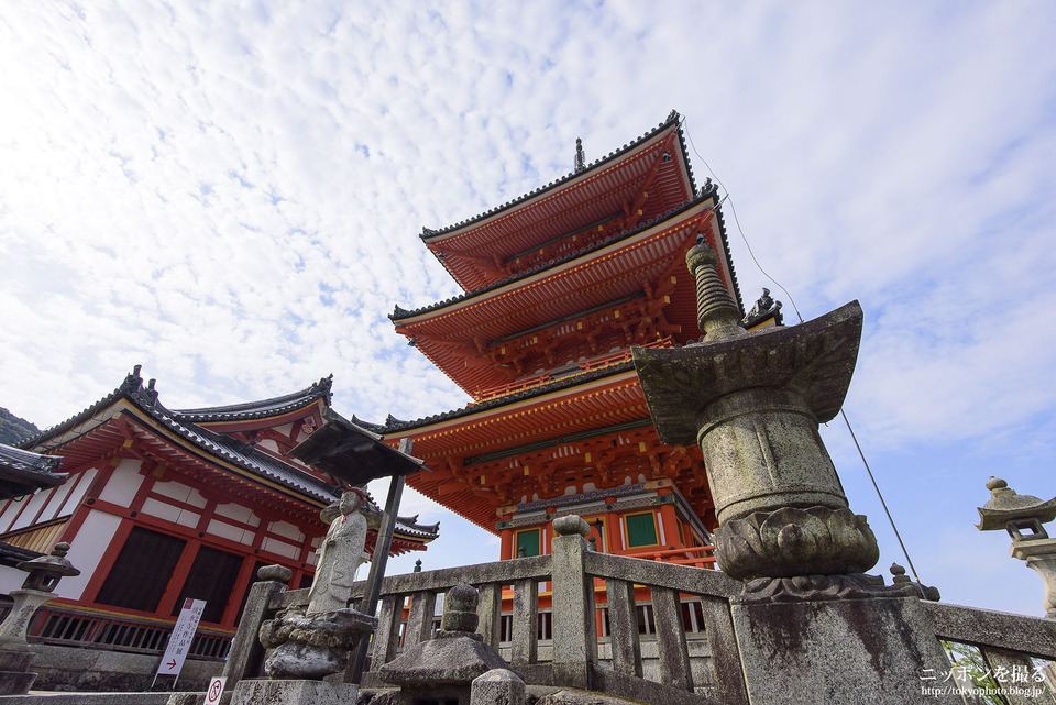 清水寺_日本一高い三重塔はこちらです