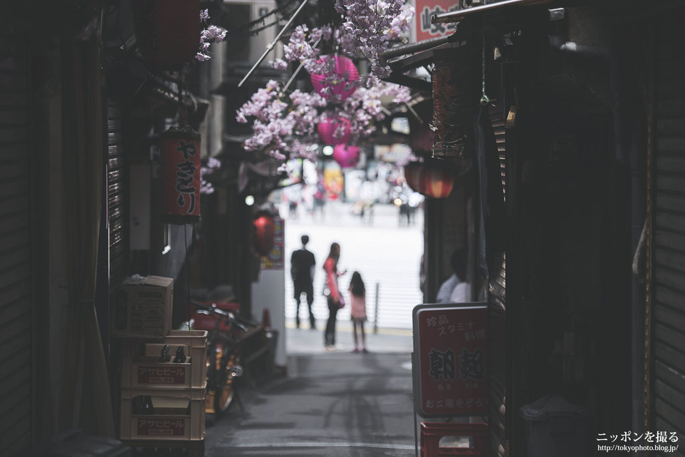東京都_新宿区_思い出横丁_170506_0293