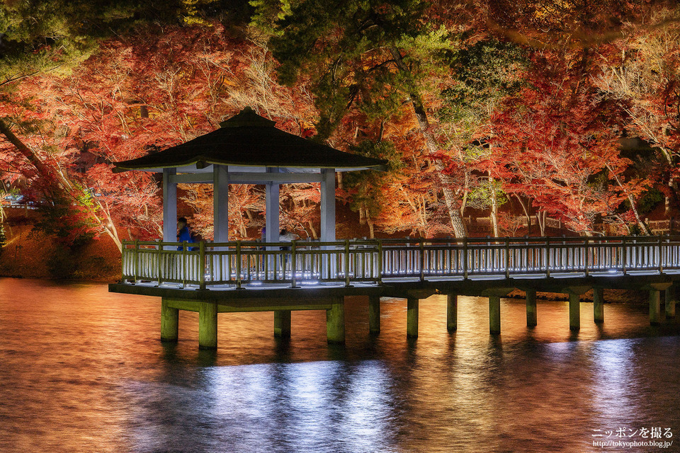 愛知県_岡崎市_岡崎東公園_181201_0390