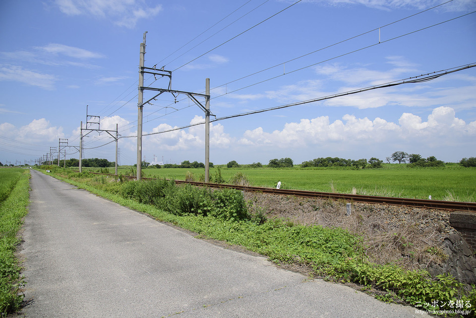 岐阜県_海津市_養老鉄道養老線_0100