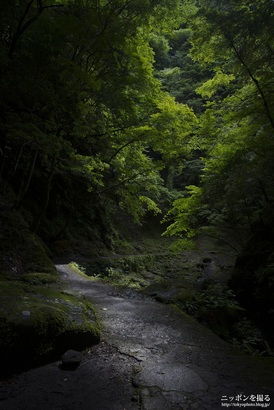 10-6_三重県_赤目四十八滝_縋藤滝の下_0099