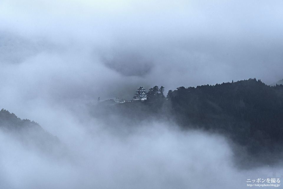 岐阜県_郡上市_郡上八幡城_0029