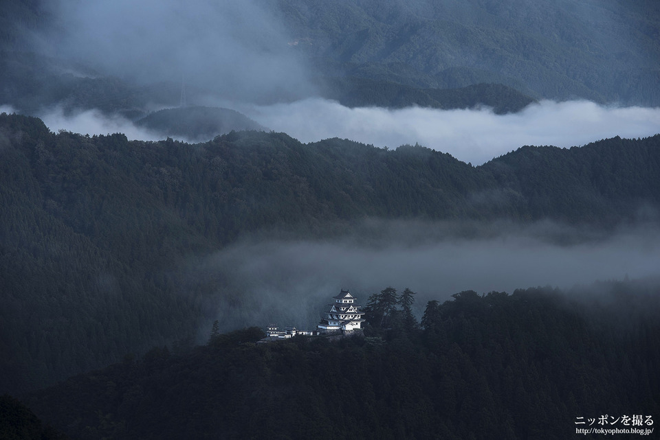 岐阜県_郡上市_郡上八幡城_0041