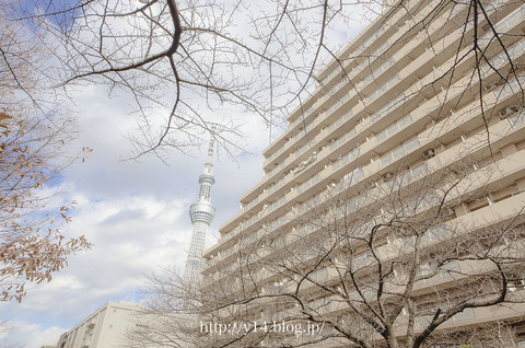 Tokyoskytree1221-0939