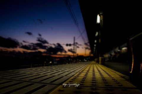 enoshima-9256