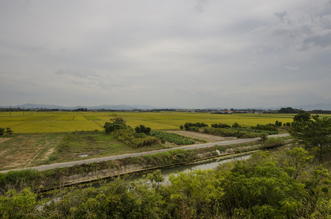 131229suiden_DSC-7286