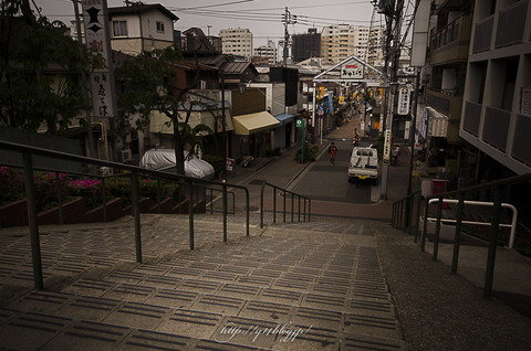 2015_Yanaka0514-4674