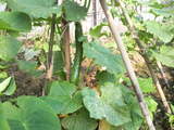 bb247321.jpg