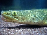 78b85982-s.jpg