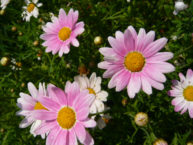 P1180232