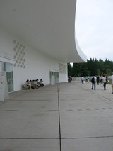 15878577.JPG