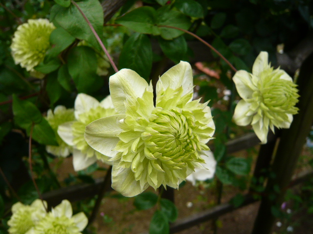 P1180333
