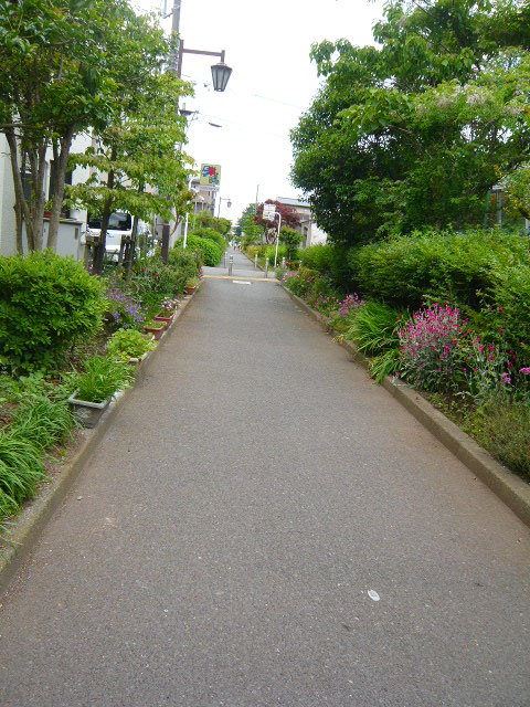 P1180209