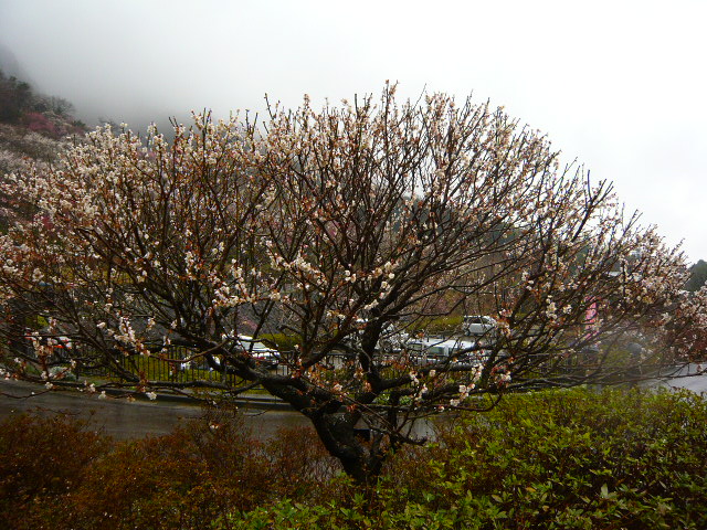 P1160848