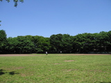68a99295.jpg