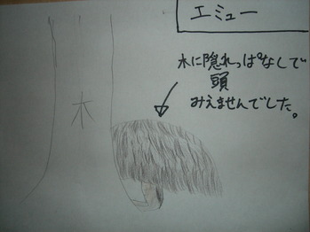 03エミュー
