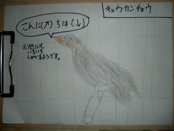 01キュウカンチョウ