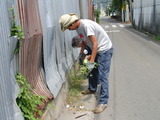 SANY0718