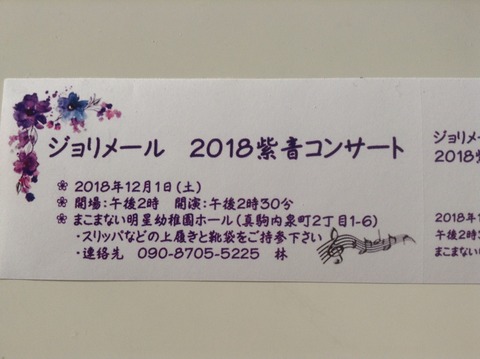 181127 紫音コンサートチケット
