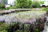 3DSCF2426 (2)