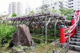 3DSCF2426 (4)