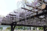 3DSCF2426 (3)