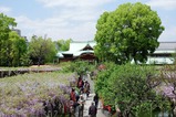 3DSCF2426 (1)