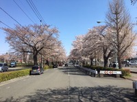 IMG_2747