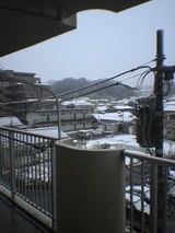 041229_1243~01.jpg