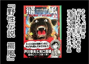 三毛別羆事件 3-1