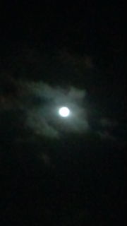 9027d17f.jpg