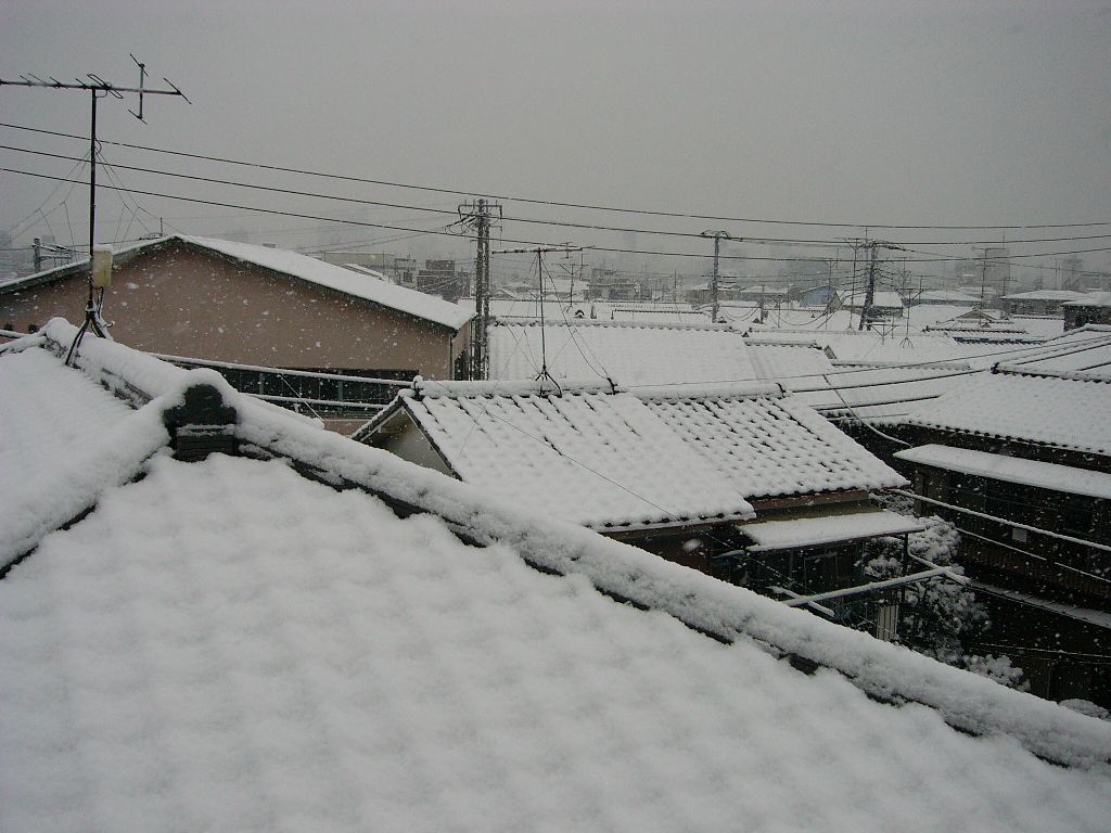 粉雪 の掲示板投稿写真＆画像