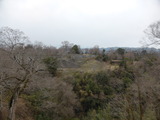 P1200973