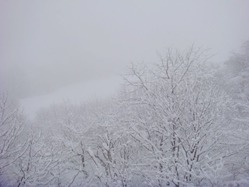 DSC04316