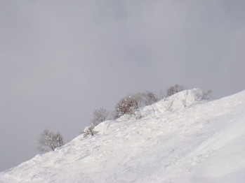 DSC04408