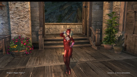 Dragon's Dogma Online__6