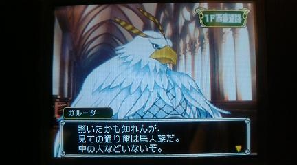 ガルーダ先生