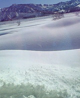 201202031152000