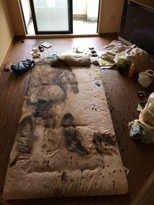 実況 ◆ テレビ朝日 54339 きのちゃんこの夜 	->画像>19枚 