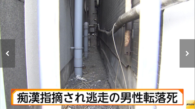 痴漢 jr上野駅 痴漢転落死 被害女性は非番の神奈川県警警部補 手触った 容疑者は超一流ホテルの支配人だった いまどきニュースno1