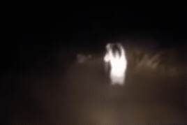 1504409066521