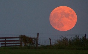 strawberrymoon