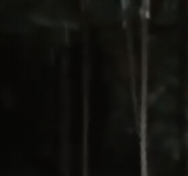 1504409133451