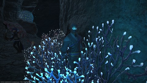 ffxiv_20170208_220017