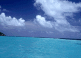 5396654b.gif