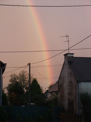 DSCF2284